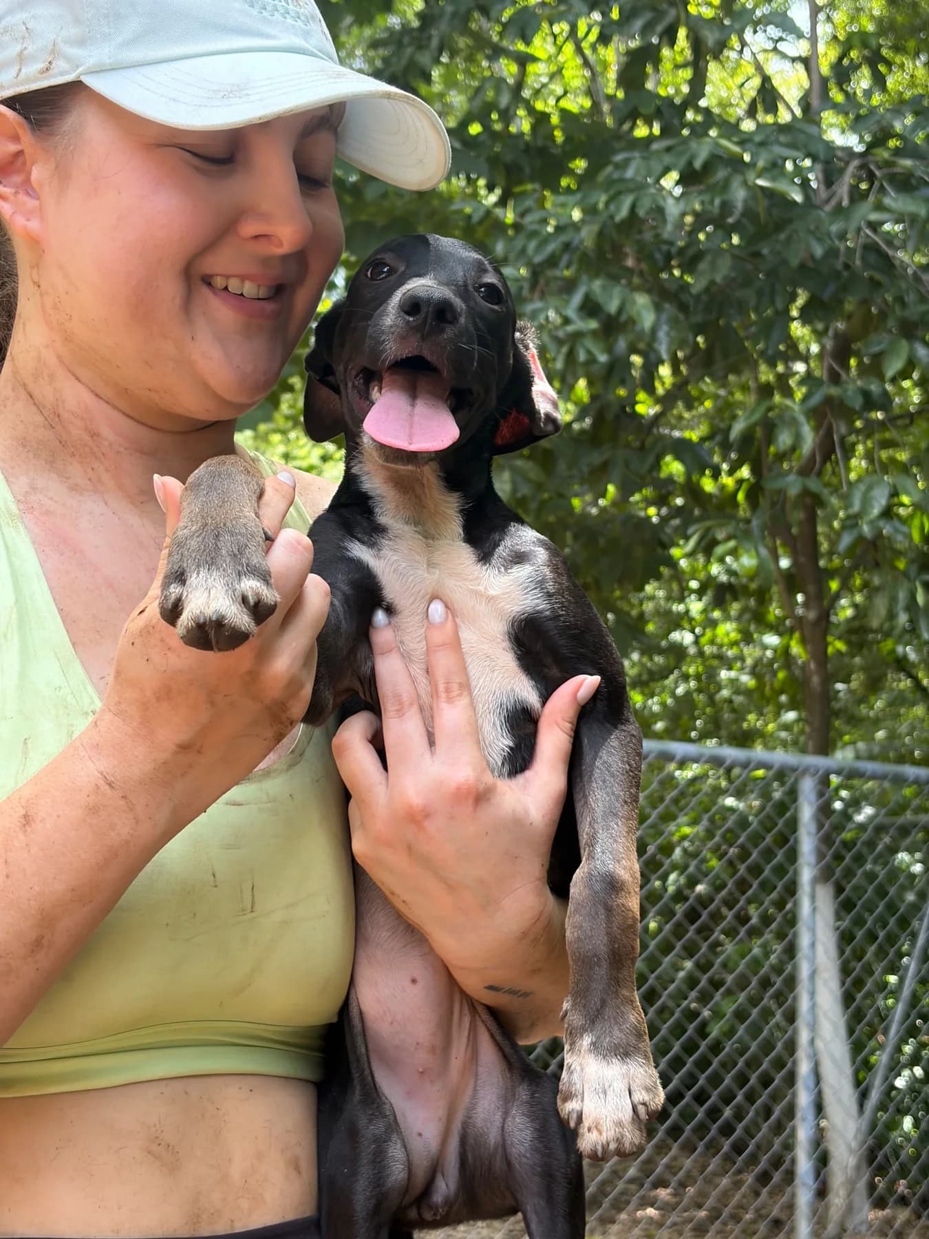 Avenger - Carol, a dog at Halfway Home Animal Shelter