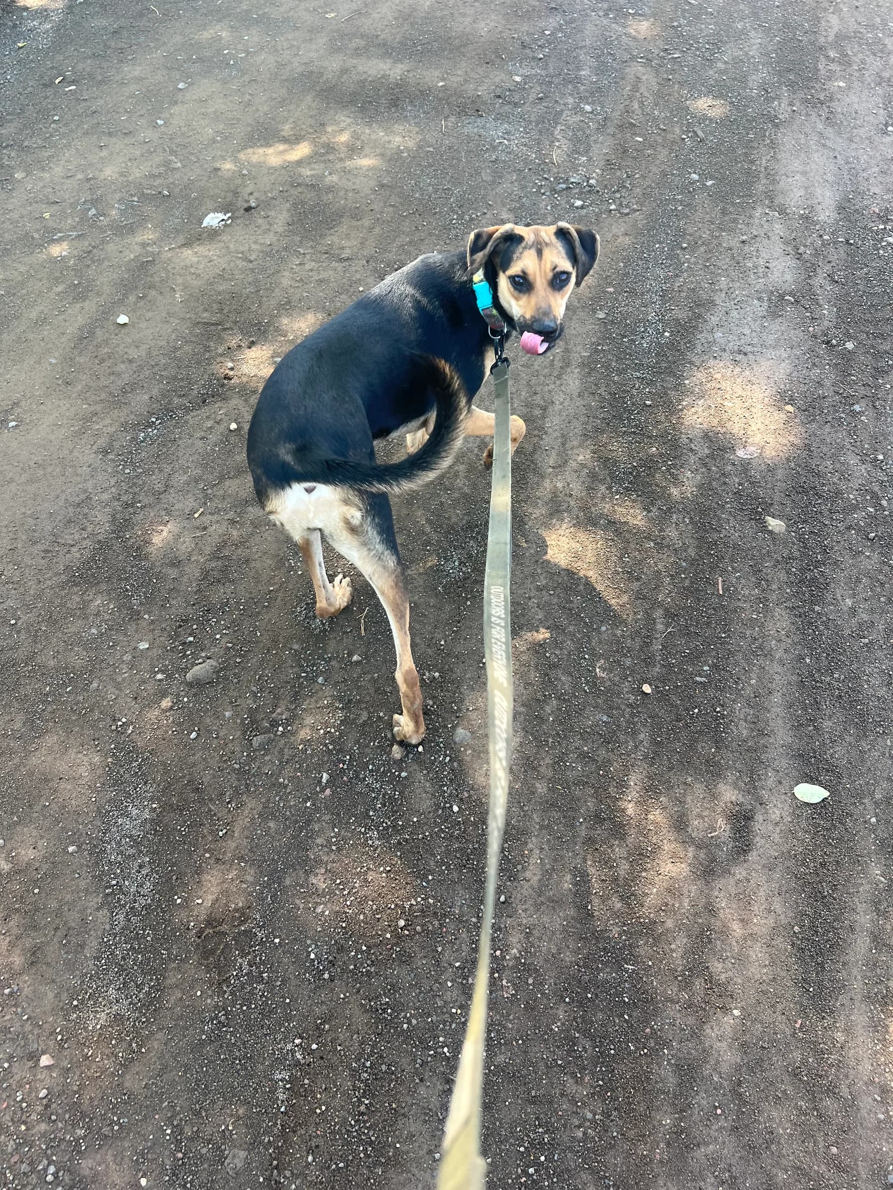 Ester at Halfway Home
