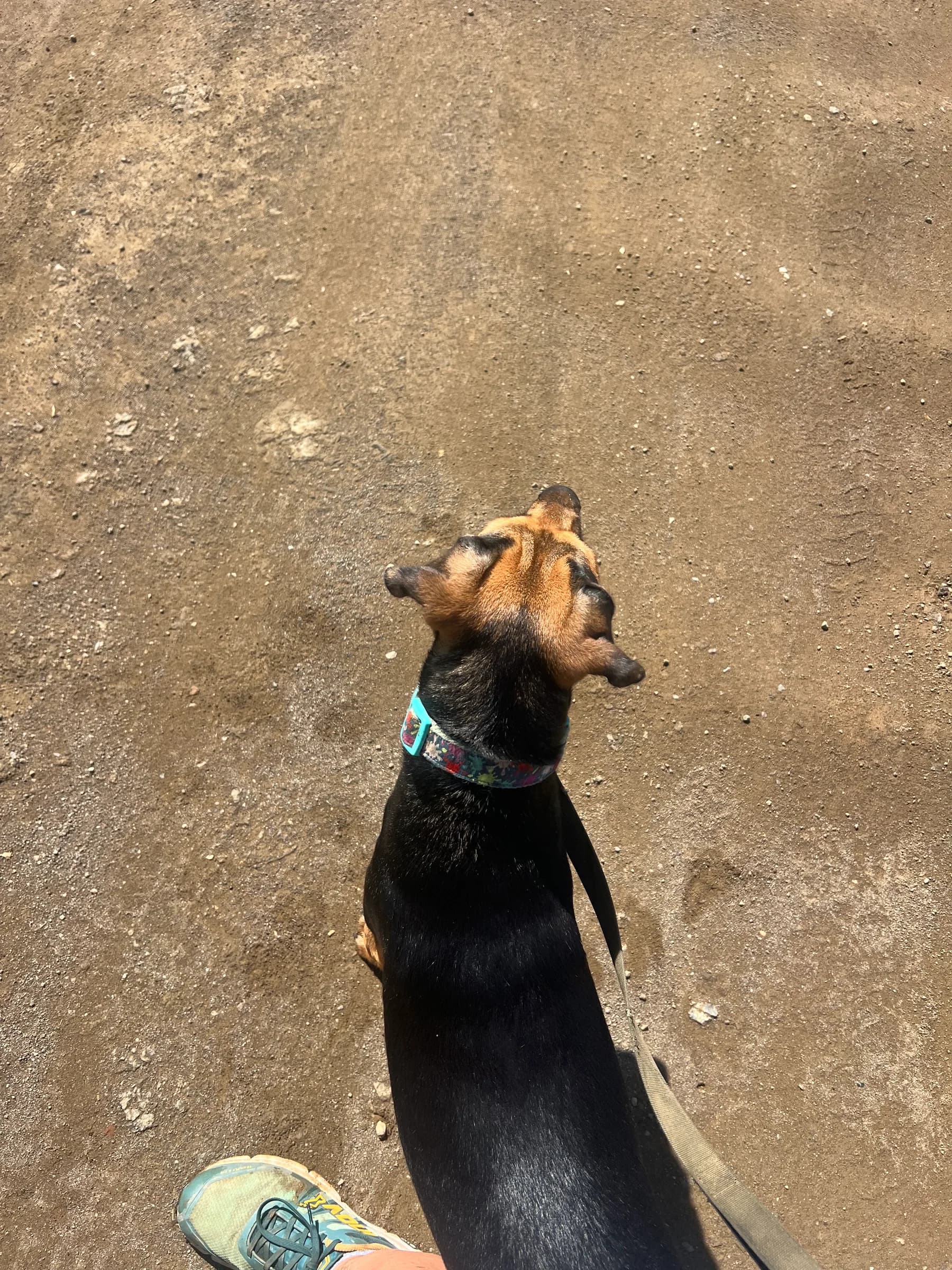 Ester at Halfway Home