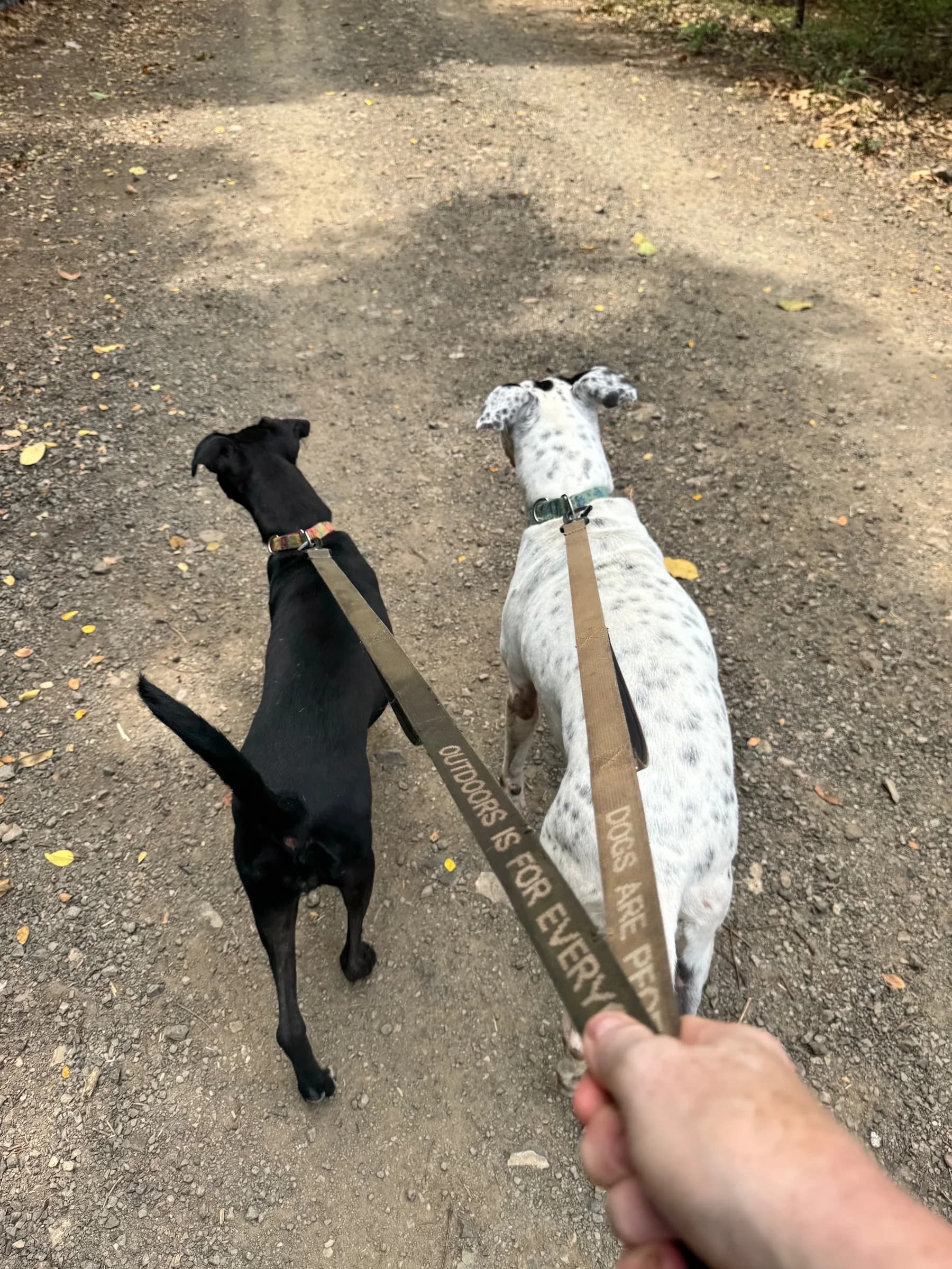 Blanca at Halfway Home
