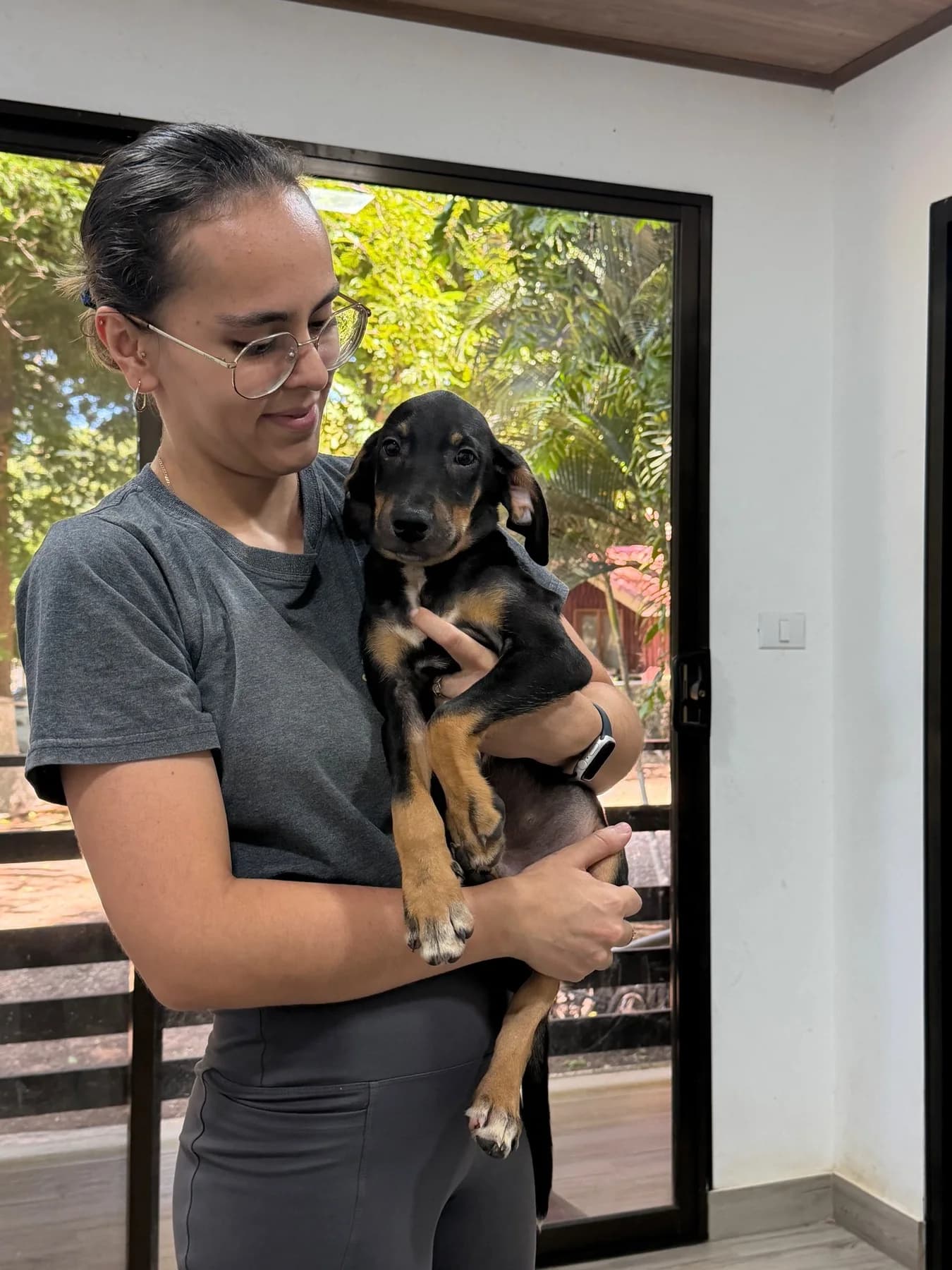Princessa Litter, a dog at Halfway Home Animal Shelter