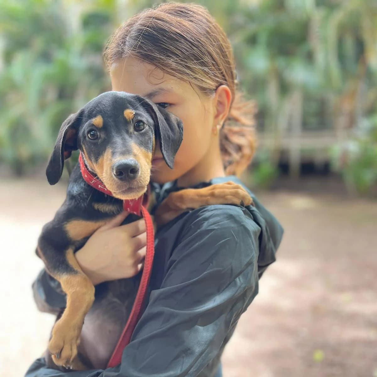 A rescue dog looking toward the camera at Halfway Home