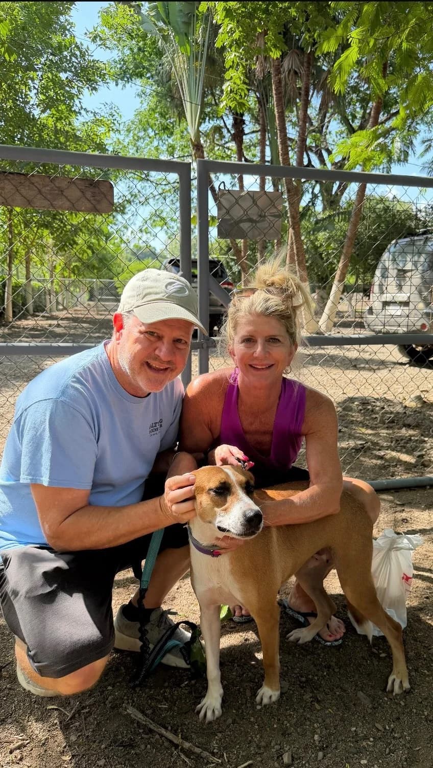 A rescue dog with a loving adoptive family